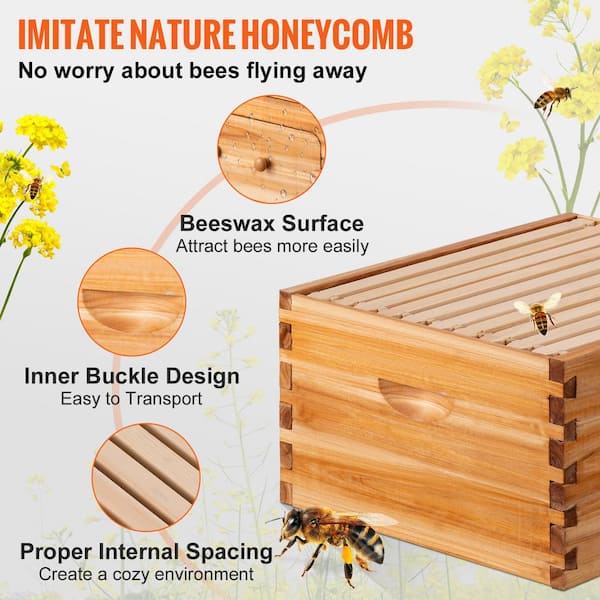 VEVOR Bee Hive 10-Frame Complete Beehive Kit 100% Beeswax Natural Wood  Includes 1 Deep Box with 10 Wooden Frames and Waxed CTFXSHKSMX110NXO0V0 -  The Home Depot