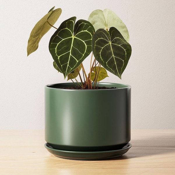 6.8 In Green Ceramic Indoor/Outdoor Planter with Saucer (6.8 in. W