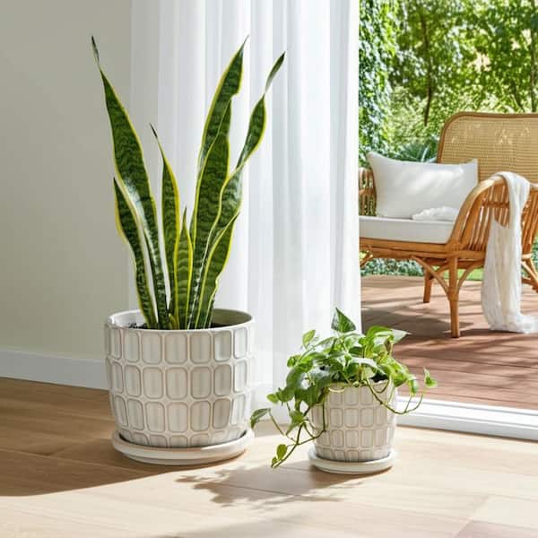 6 in. and 8 in. White Ceramic Squoval Saucer Decorative Planters (Set of 2)