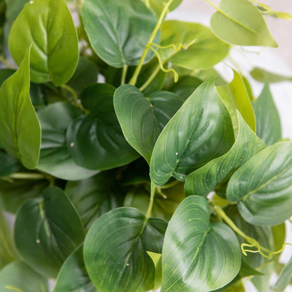 Elegant Potted White Pothos Ivy, 13in Plastic Outdoor Plant