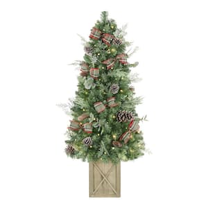 4.5 ft Woodmore Pine Potted Christmas Tree