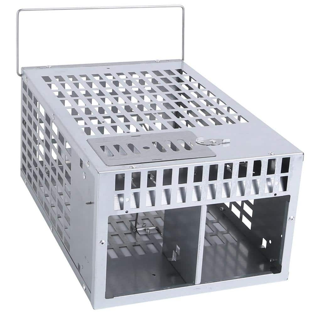 ATENGNES Humane Live Rat Trap Cage Dual Door Live Rat Traps Rodent ...