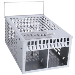 Humane Live Rat Trap Cage Dual Door Live Rat Traps Rodent Dense Mesh Trap Cage Control Bait Catch for Small Animals