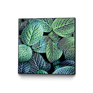 "Leaf VIII" by Peter Morneau Framed Abstract Wall Art Print 20 in. x 20 in.