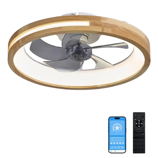 Kinsley 20 inches Smart Indoor Fandelier ceiling fan with Lights and Remote, Reversible DC Motor, Dimmable LED Light
