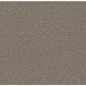 8 in. x 8 in. Texture Carpet Sample - Cay -Color Sand
