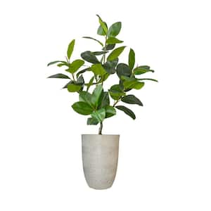 Real touch 62 in. fake Rubber tree in a fiberstone planter