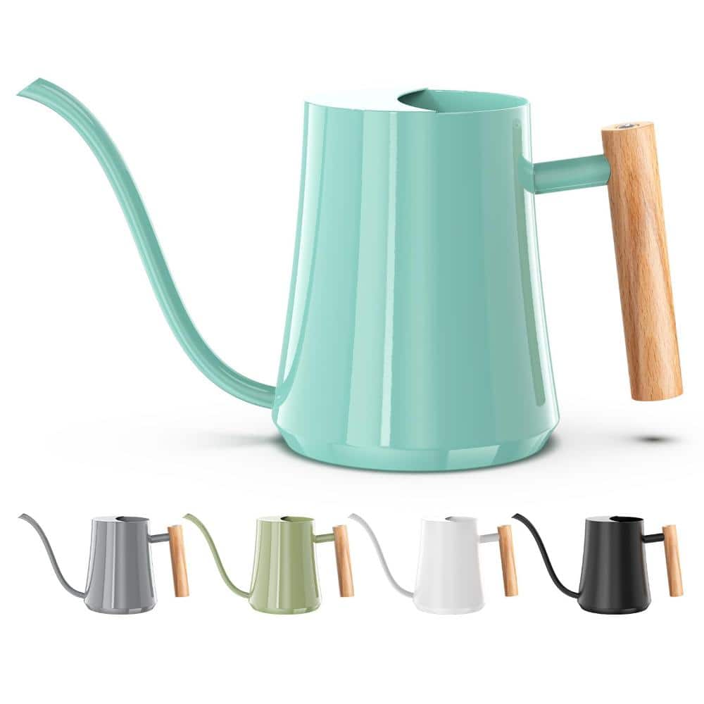 35 oz. Modern Indoor Metal Watering Can with Precision Long Spout and Integrated Ergonomic Handle for House Plants price history on PriceWatchPro
