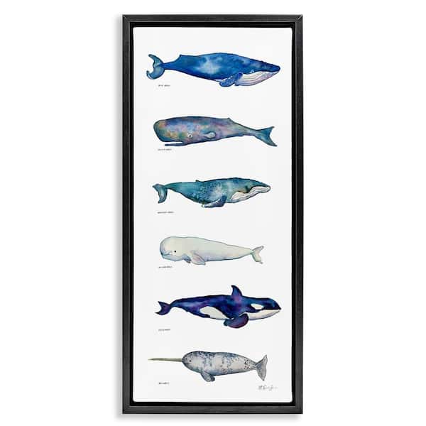 Maritime Sea Life Chart by MB Cunningham Black Floater Frame Graphic Art Print Animal 31 in. x 15 in.