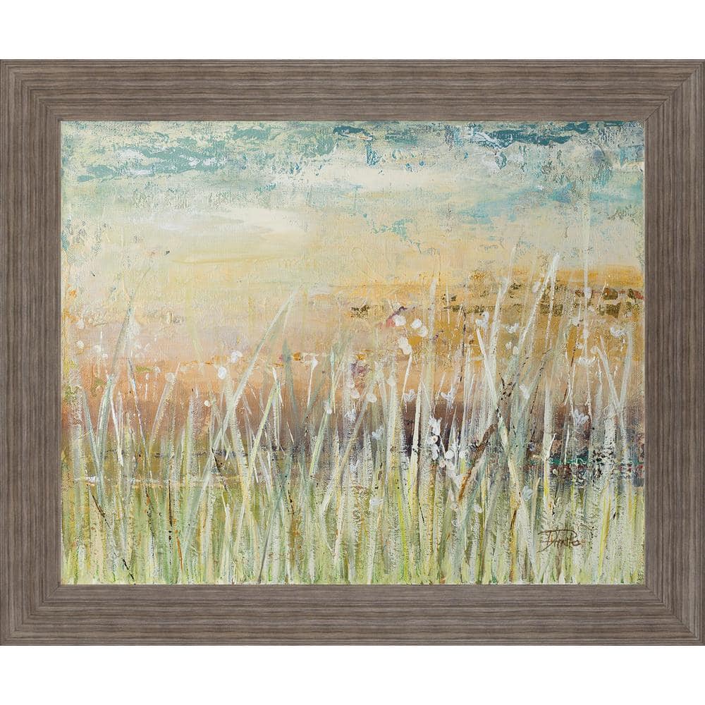 Muted Grass By Patricia Pinto Framed Print Abstract Wall Art 28 in. x 34 in. price history on PriceWatchPro