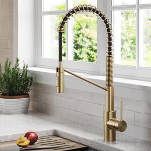 Oletto Single-Handle Pull-Down Sprayer Kitchen Faucet in Spot Free Antique Champagne Bronze