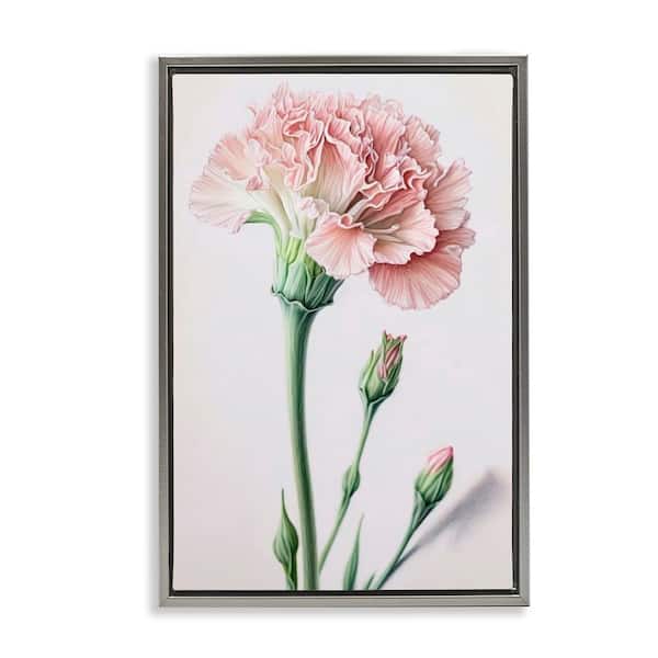 Stupell Industries Pale Carnation Budding by Incado Gray Floater Frame Nature Graphic Art Print 25 in. x 17 in.