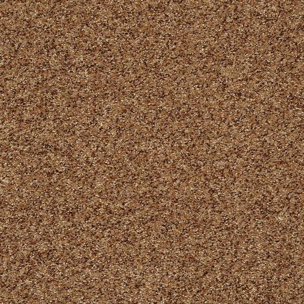 Home Decorators Collection Carpet Sample - Cressbrook III - In Color Thatched Roof 8 in. x 8 in.