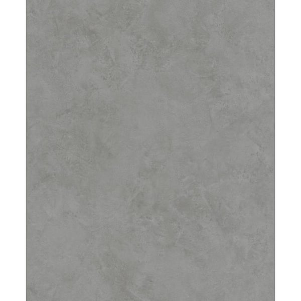 Advantage 8 in. x 10 in. Escher Grey Plaster Sample 4015-426168SAM ...