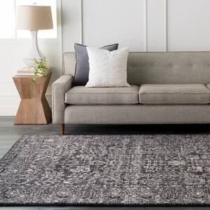 Demeter Charcoal 8 ft. x 10 ft. Indoor Area Rug