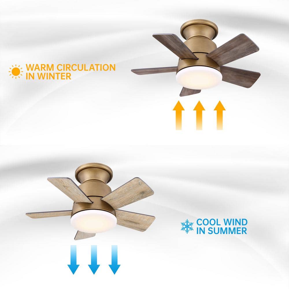 24" Brass Gold LED Flush Mount Ceiling Fan with Remote and Reversible Blades