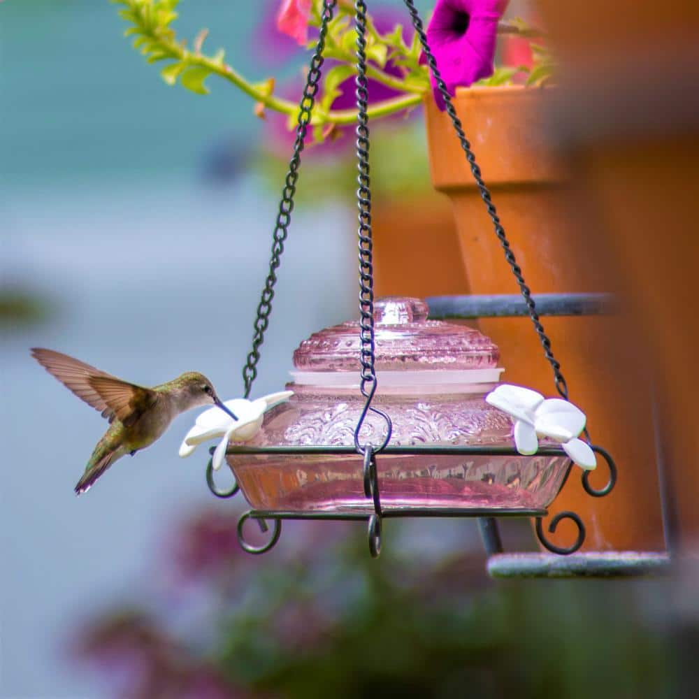Antique Plum Glass Hanging Hummingbird Feeder with Flower Ports