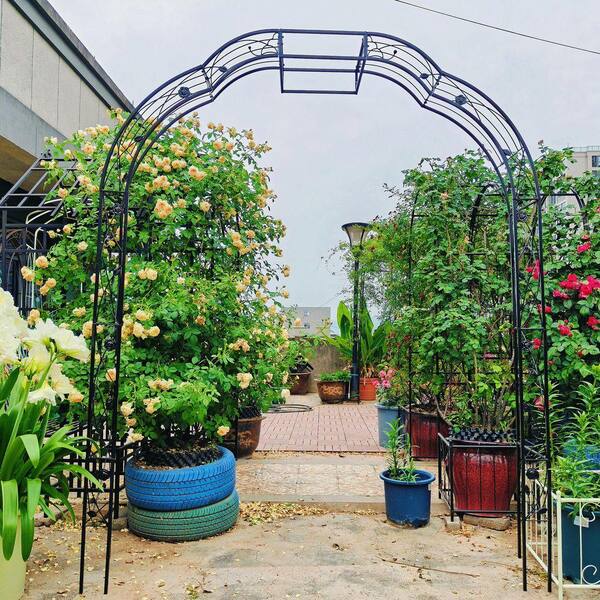 Jushua 74.4 in. x 98.4 in. Metal Garden Arch Garden Arbor Trellis
