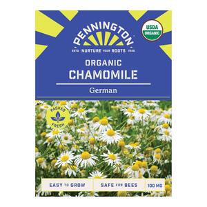 Organic German Chamomile Herb Seeds