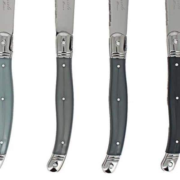 Flying Colors Laguiole Style Steak Knife Set, Stainless Steel, Colorful  Handles - China Laguiole Steak Knife and Serrated Blade Knife price