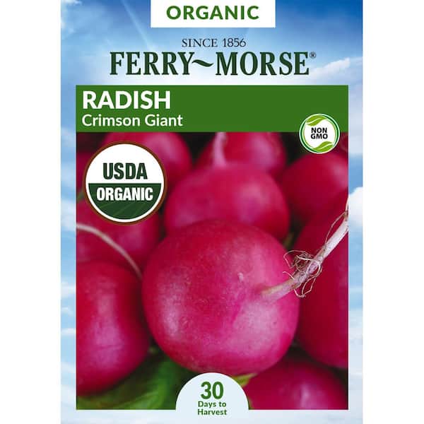 Organic Radish Crimson Giant Vegetable Seed
