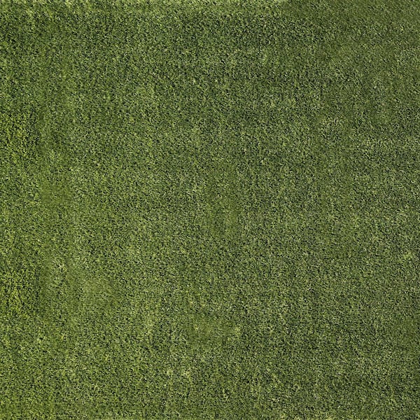 MSI Emerald Green Precut  6 ft. x 8 ft. x 38 mm Artificial Grass Turf Rug