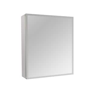 29 in. W x 22 in. H Silver Surface Mount Bi-View Bathroom Medicine Cabinet with Mirror