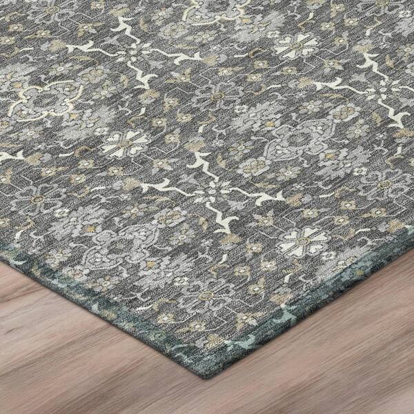 Chantille Machine Washable Indoor/Outdoor Abstract ACN2917 Gray 3 ft. x 4 ft. Area Rug