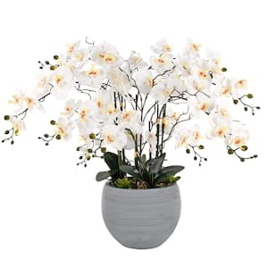 36.22 in. H Artificial Phalaenopsis Orchids Floral Arrangement in Pot