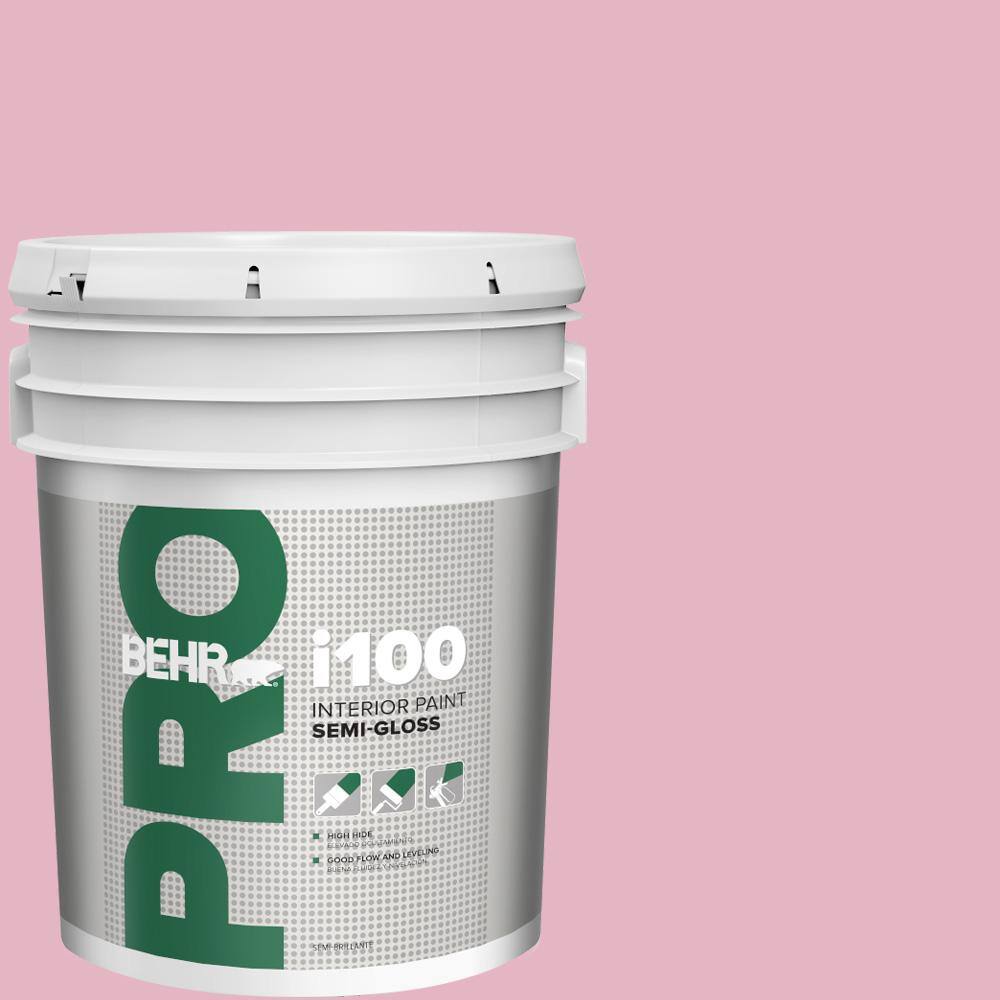 5 gal. #HDC-SP16-10 Japanese Rose Garden Semi-Gloss Interior Paint price history on PriceWatchPro