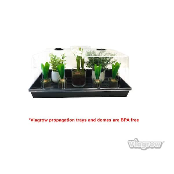 Extra Strength Propagation No Holes Seed Starter Tray with Tall Dome