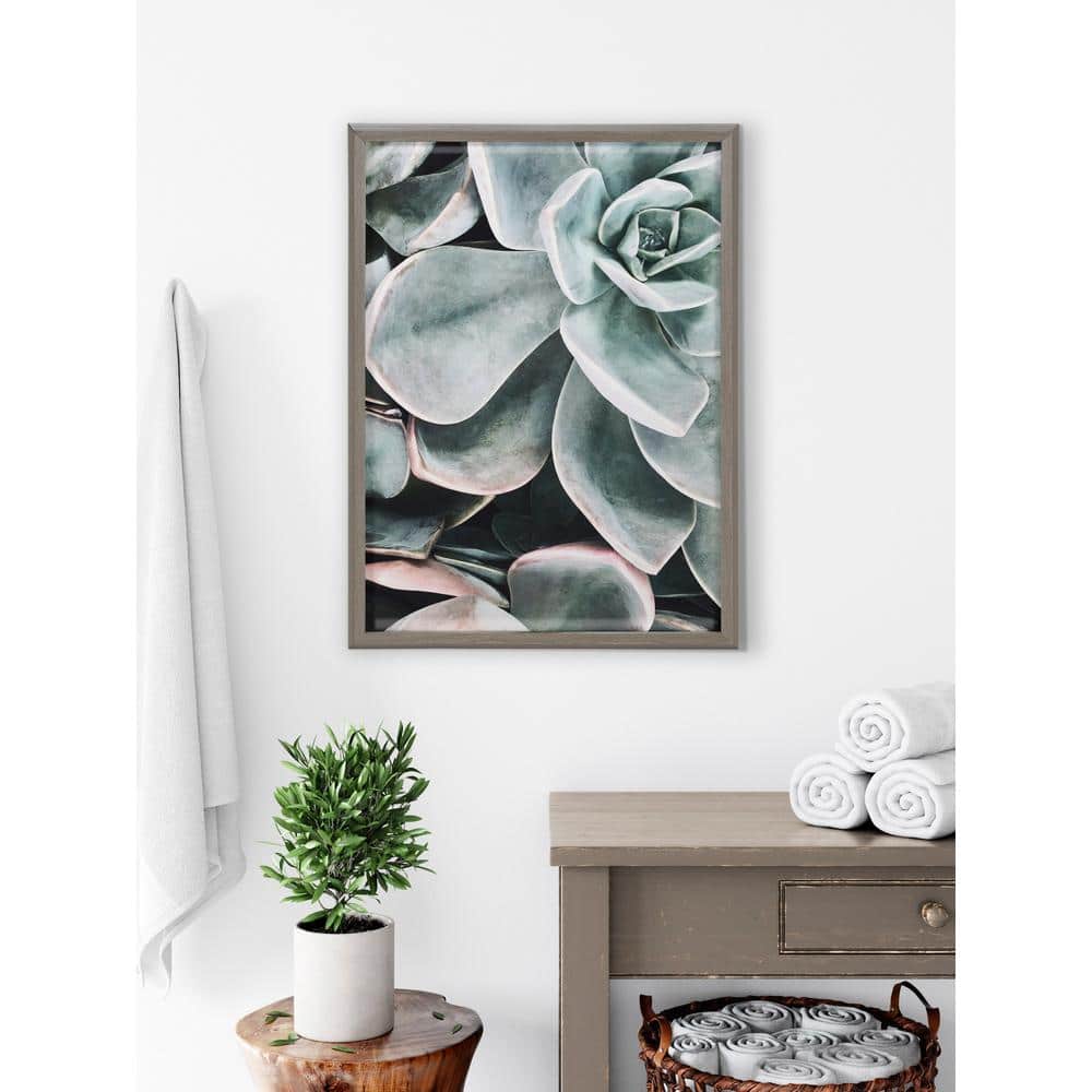 Gray Framed Botanical Succulent Plant Wall Art Set