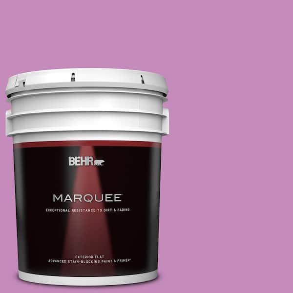 BEHR MARQUEE 5 gal. #P110-4 Rock Star Pink Flat Exterior Paint & Primer