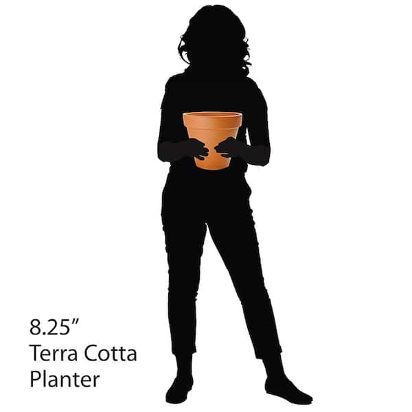 Pennington - 8 in. Medium Terra Cotta Clay Pot