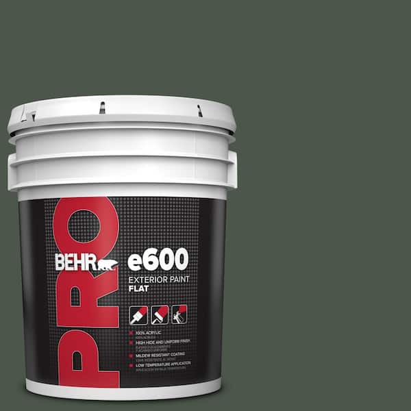 5 gal. #PMD-66 Deep Evergreen Flat Exterior Paint