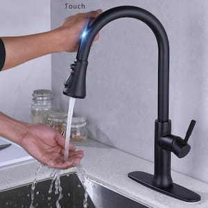 Single-Handle Pull-Down Sprayer Kitchen Faucet With Flexible Hose and Deck Plate in Black