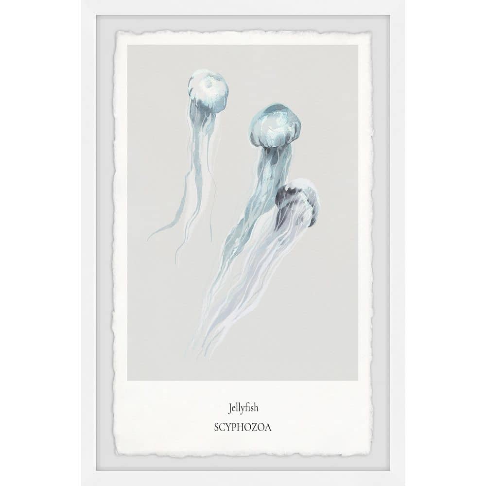 Scyphozoa by Marmont Hill Framed Animal Art Print 45 in. x 30 in.