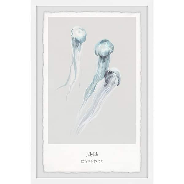 Unbranded "Scyphozoa" by Marmont Hill Framed Animal Art Print 45 in. x 30 in.