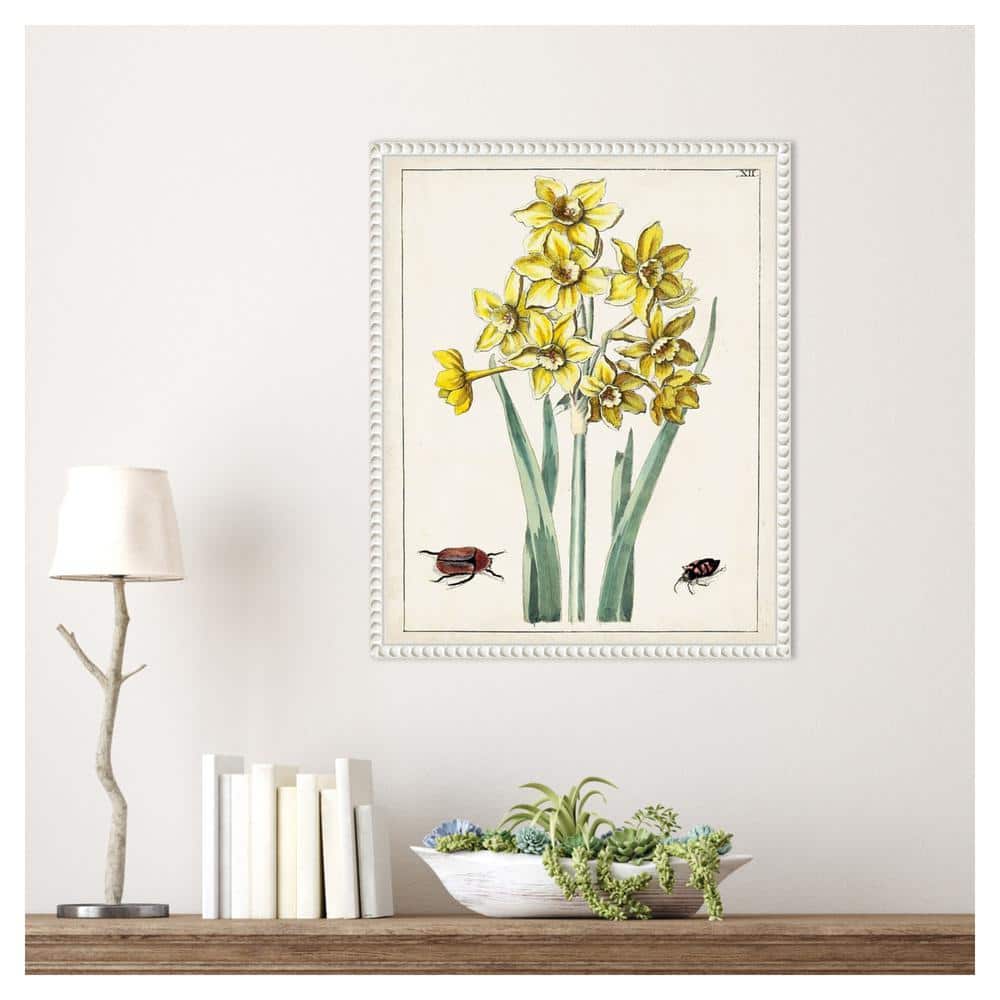 Dutch Florals III Yellow Daffodils Canvas Print with White Frame
