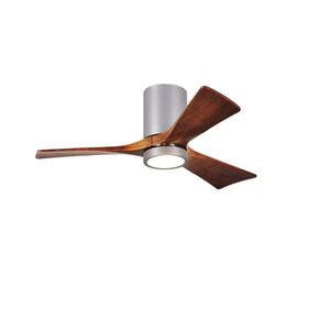 Irene 42 in. LED Indoor/Outdoor Damp Brushed Nickel Ceiling Fan with Remote Control, Wall Control