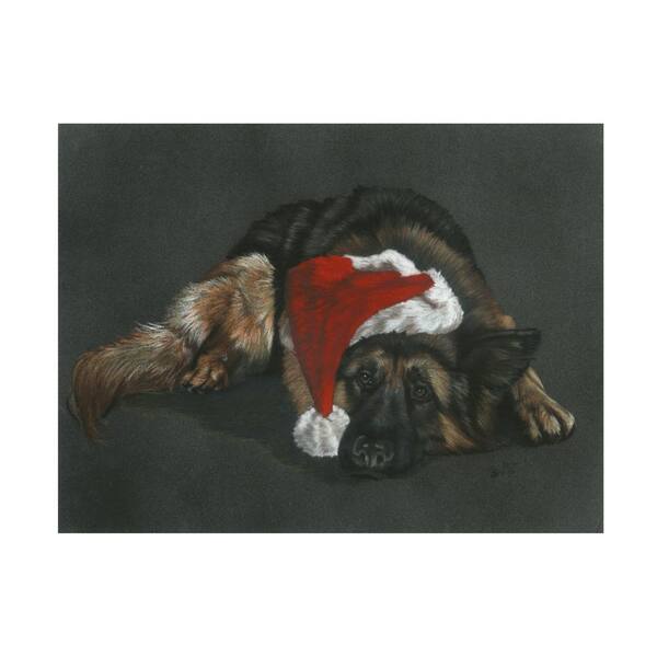 Trademark Fine Art Unframed Animal Barbara Keith 'Weihnachts Hound' Photography Wall Art 24 in. x 32 in.