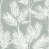 York Wallcoverings CY1566 Palm Silhouette Wallpaper Gray White 