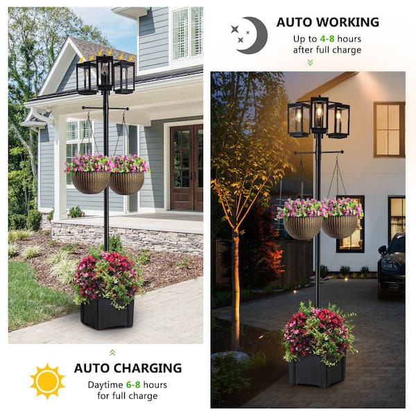C Cattleya 3-Lights Black Stainless Steel Dusk to Dawn Solar
