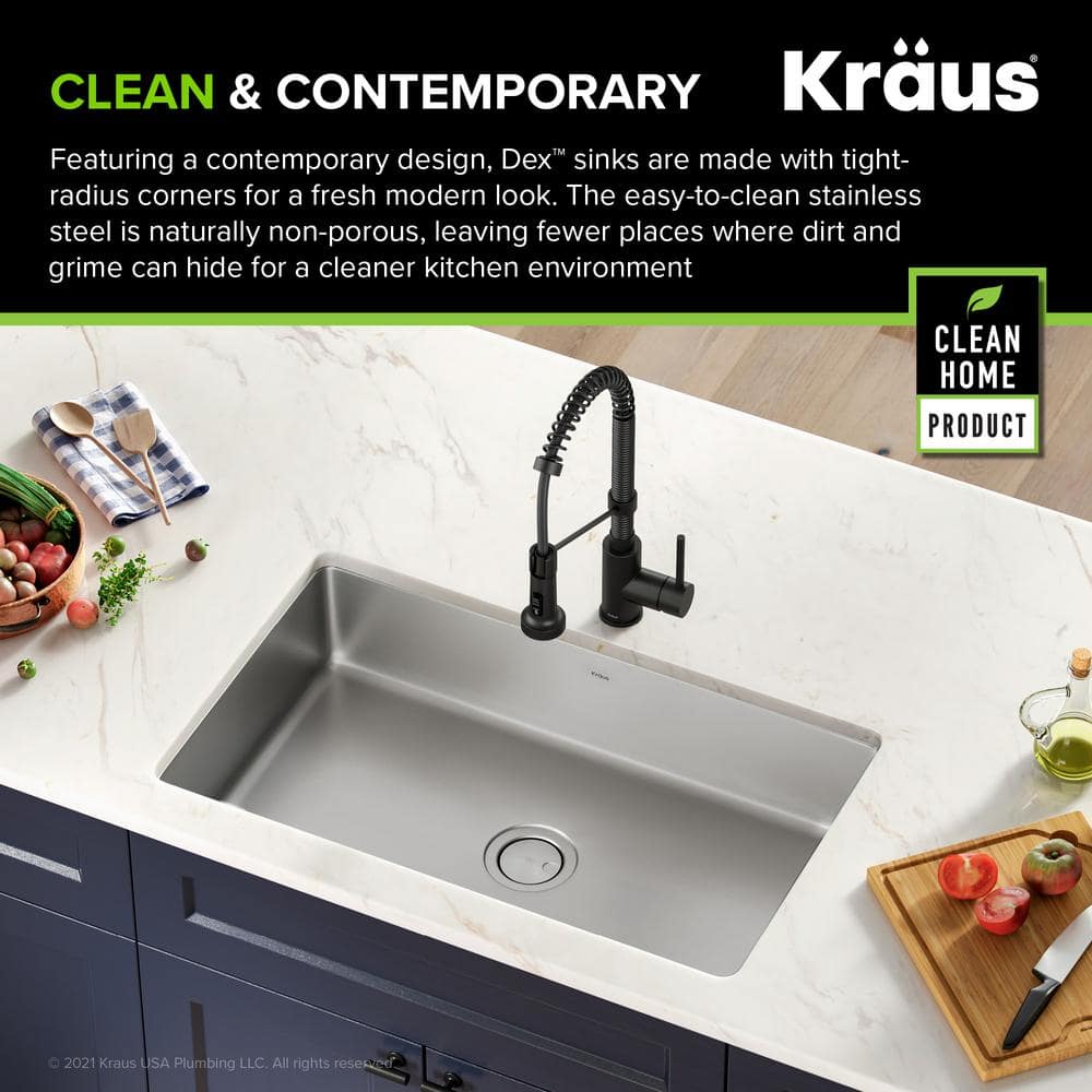 Dex 32-inch Stainless Steel Single Bowl Undermount Kitchen Sink