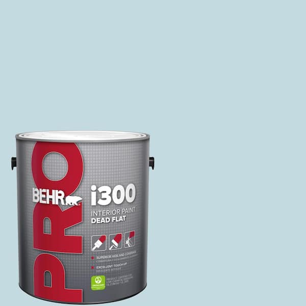1 gal. #S480-1 Rain Dance Dead Flat Interior Paint