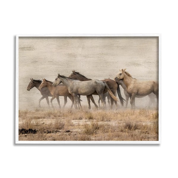 Stupell Industries Galloping Horse Herd Countryside by Danita Delimont 1-Piece White Framed Animal Giclee Art Print 14 in. x 11 in.