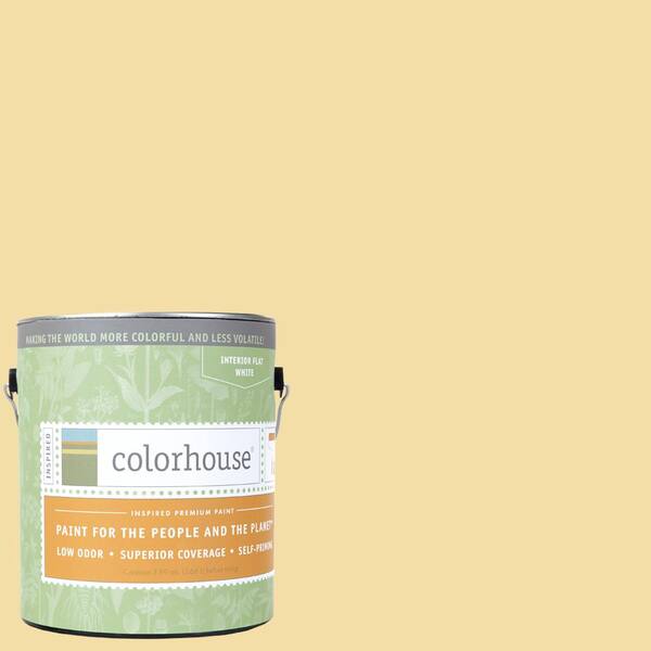 Colorhouse 1 gal. Grain .02 Flat Interior Paint