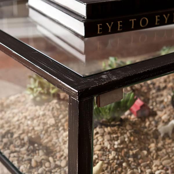 SEI FURNITURE 42.5 in. Metal Rectangular Distressed Black Rustic Terrarium  Glass Display Coffee Table CK8860 - The Home Depot