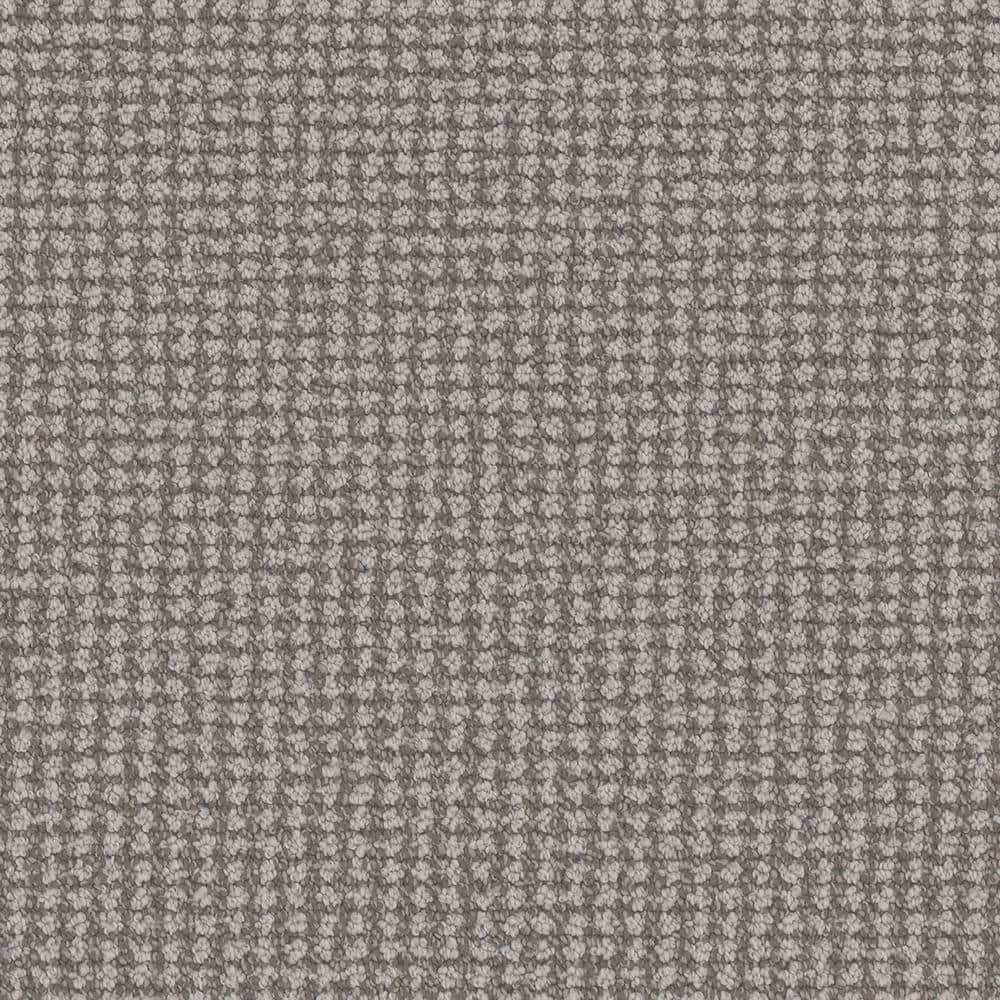 8 in. x 8 in. Pattern Carpet Sample - Shooting Star - Color Rory price history on PriceWatchPro