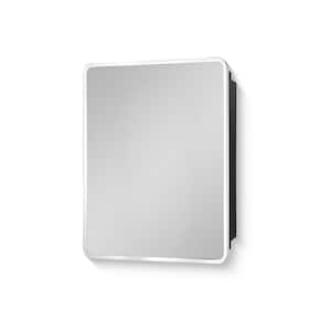 24 in. W x 30 in. H Rectangular Metal Medicine Cabinet with Mirror